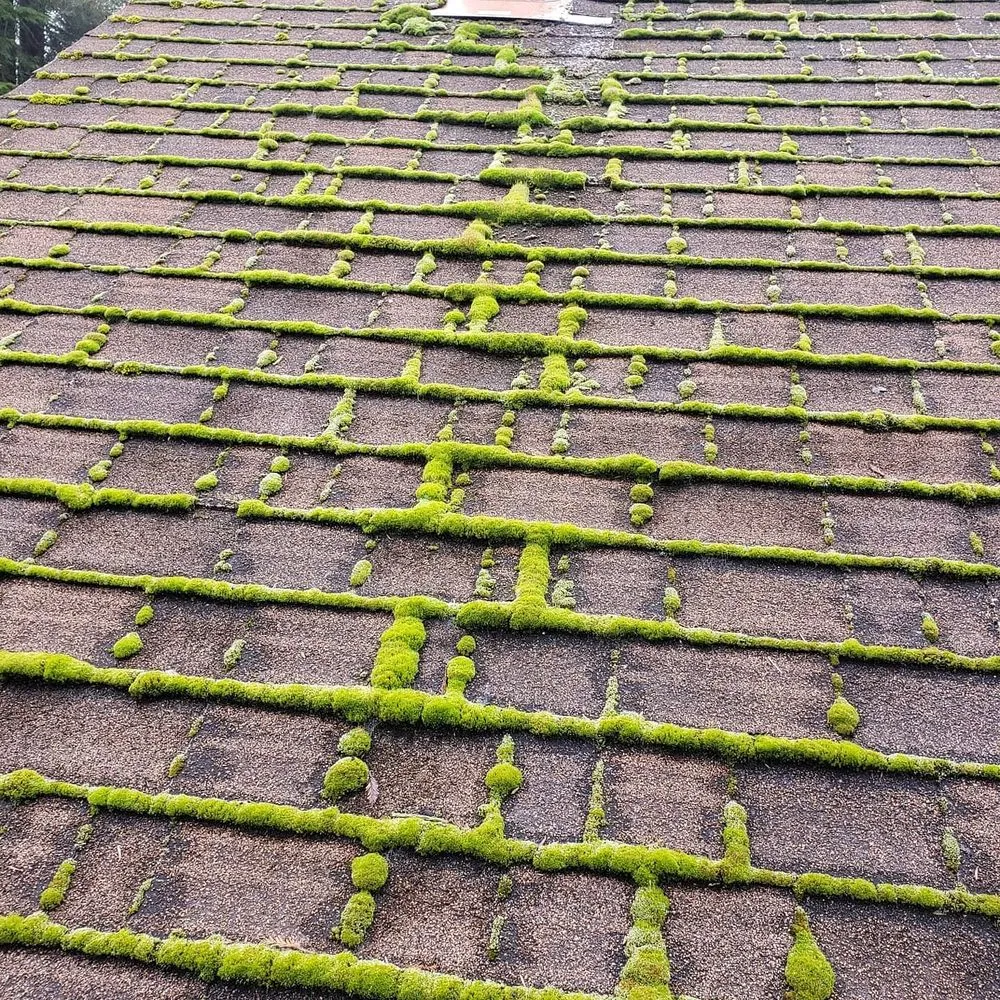Slide of Diamond Touch Roof Cleaning and Repair
