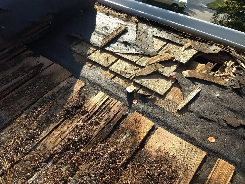 Slide of Diamondback Roofing & Construction