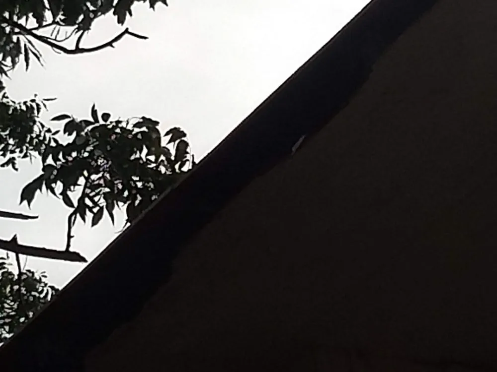 Slide of Diamondback Roofing & Construction