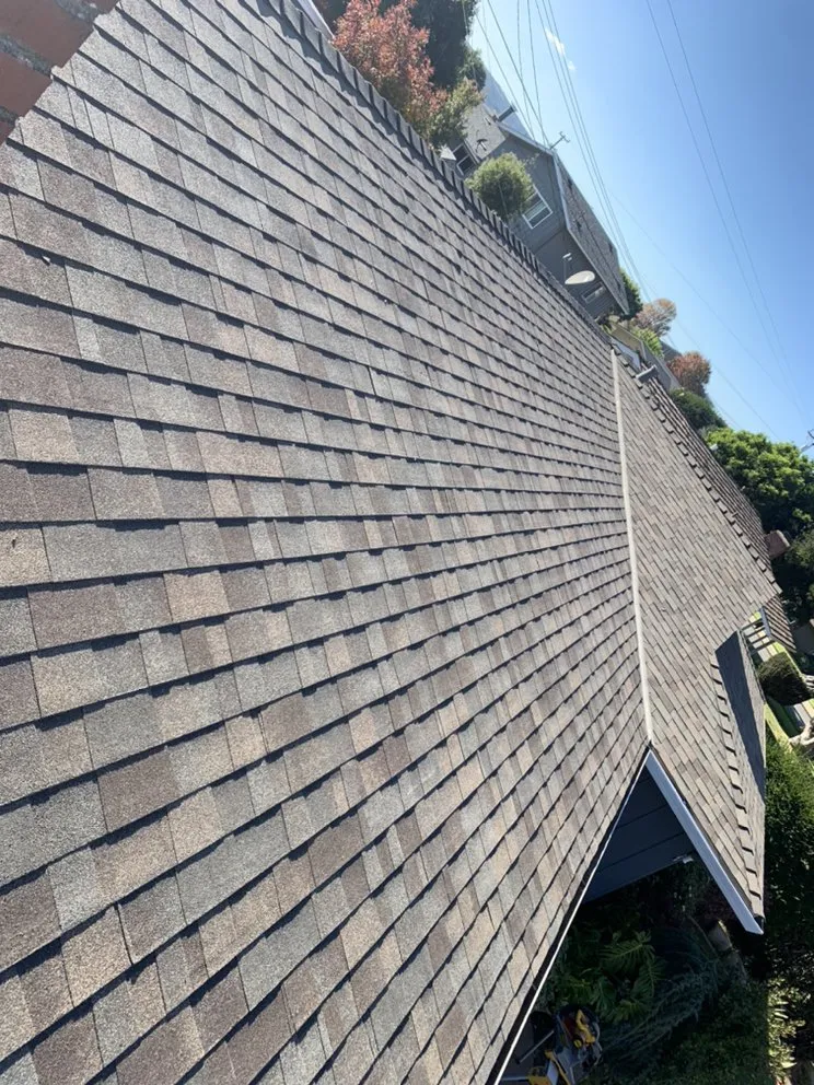 Slide of Diaz Gorilla Roofing