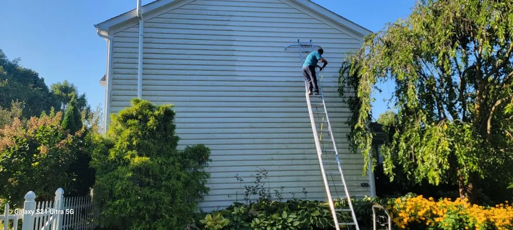 Slide of Diaz Rodriguez Panting