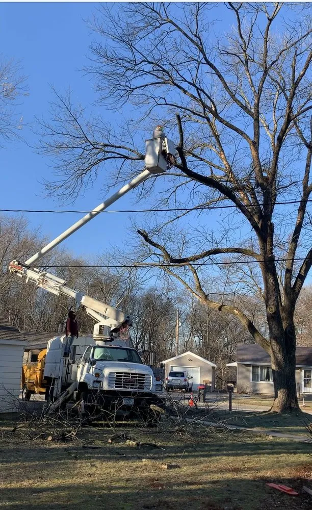 Slide of Diaz Tree & Roofing