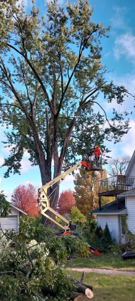 Slide of Diaz Tree & Roofing