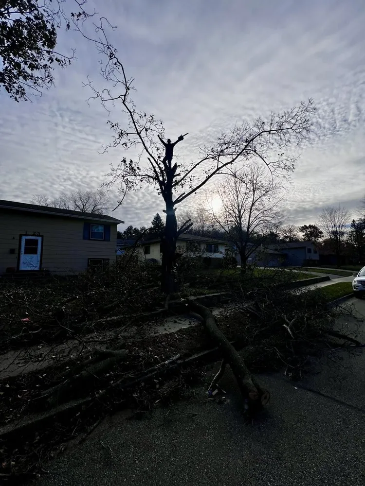 Slide of Diaz Tree & Roofing