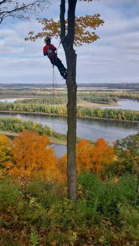 Slide of Diaz Tree & Roofing