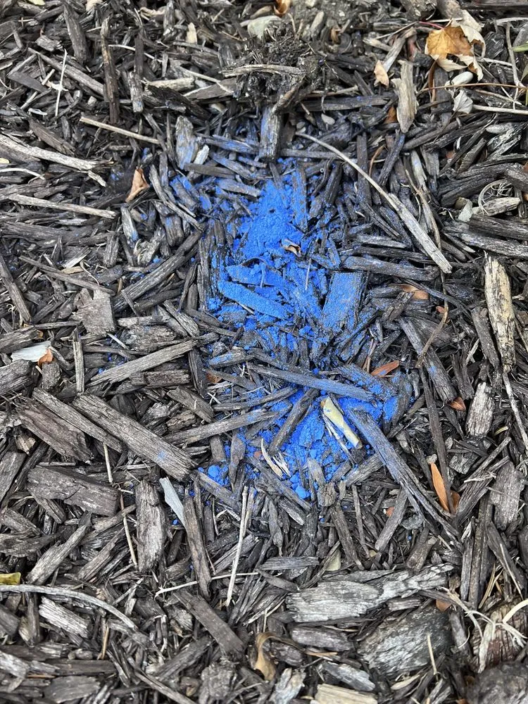 Slide of Dick's Roof Repair Service