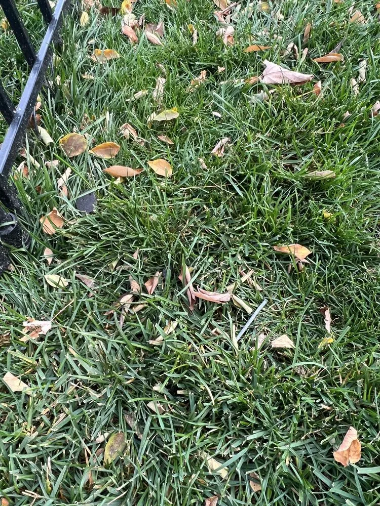 Slide of Dick's Roof Repair Service