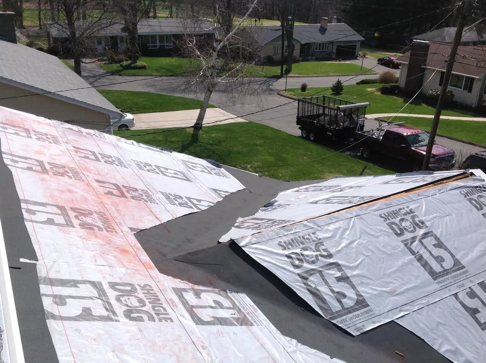 Slide of Dicky Matos Roofing