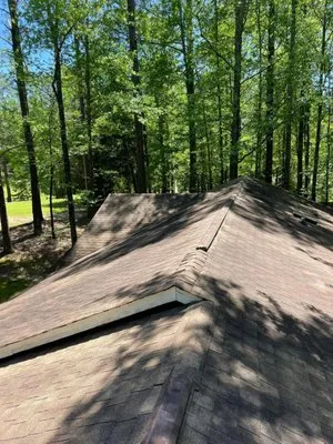 Did by Tidd Roof and Gutter Cleaning Logo