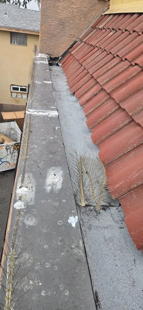 Slide of Diego's Roofing Corp