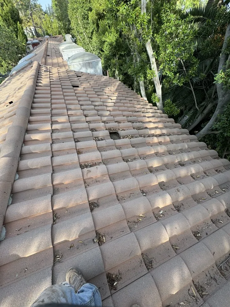 Top-rated shingle roofing service with free inspection in San Fernando Valley, CA by Dilligent Roofing