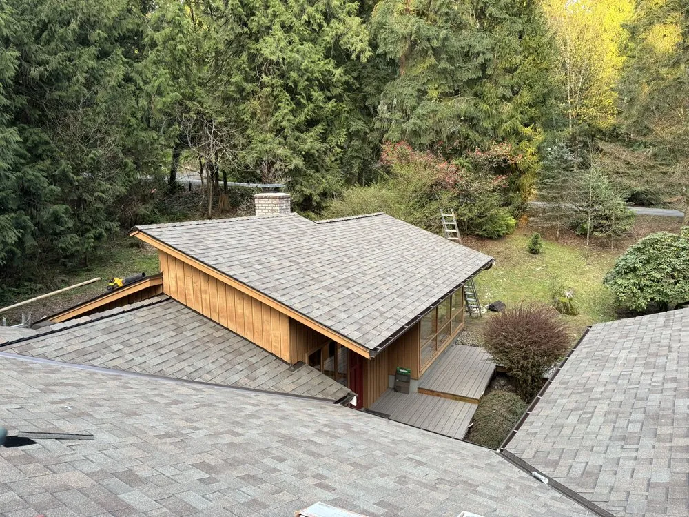 Slide of Dino Roofing