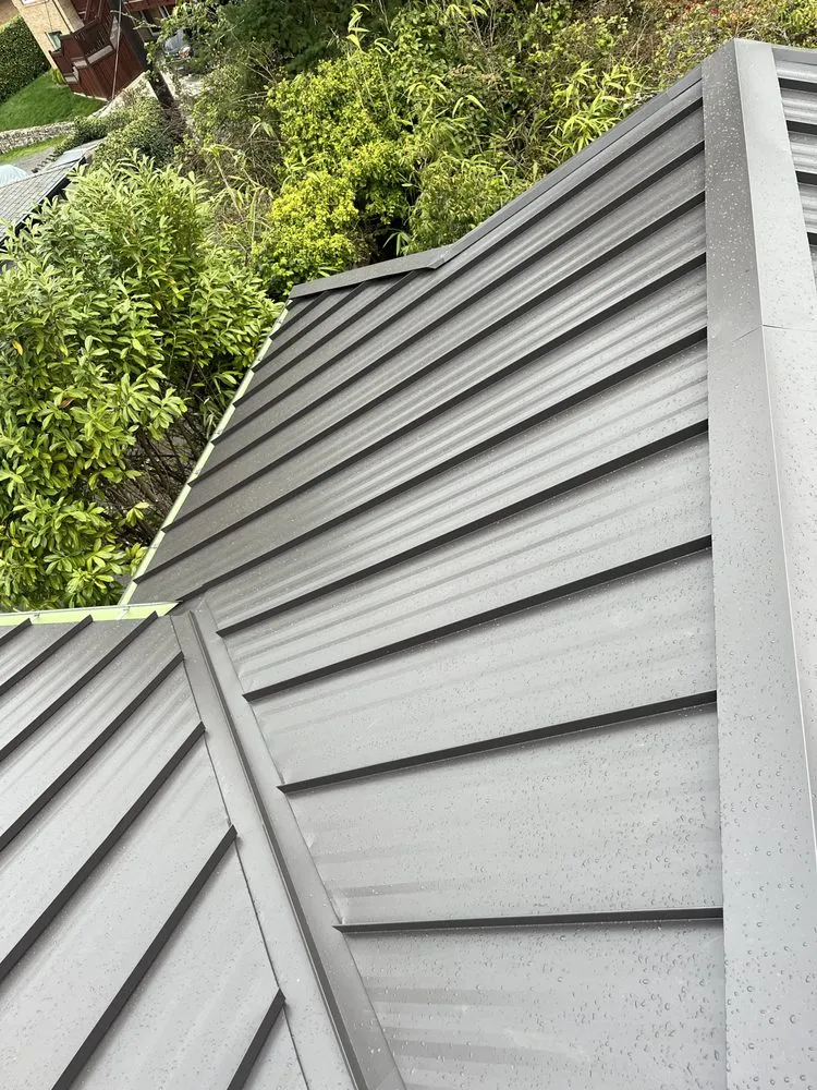 Slide of Dino Roofing