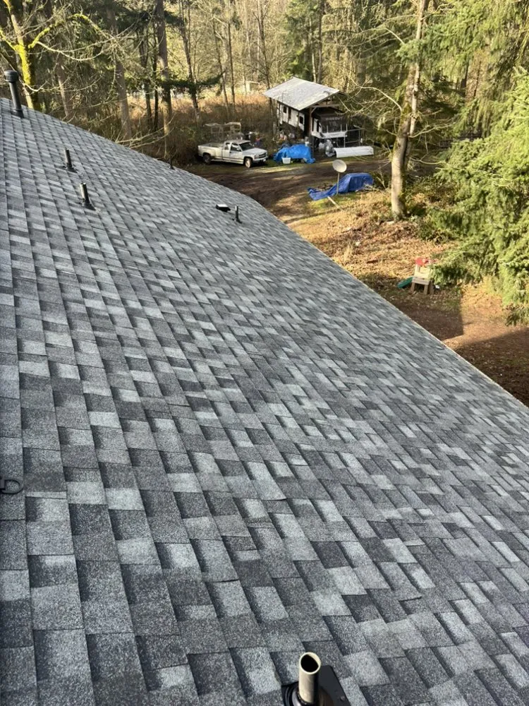 Slide of Dino Roofing