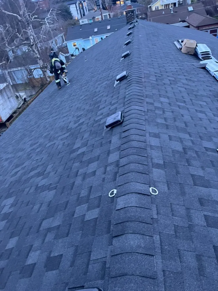 Slide of Dino Roofing