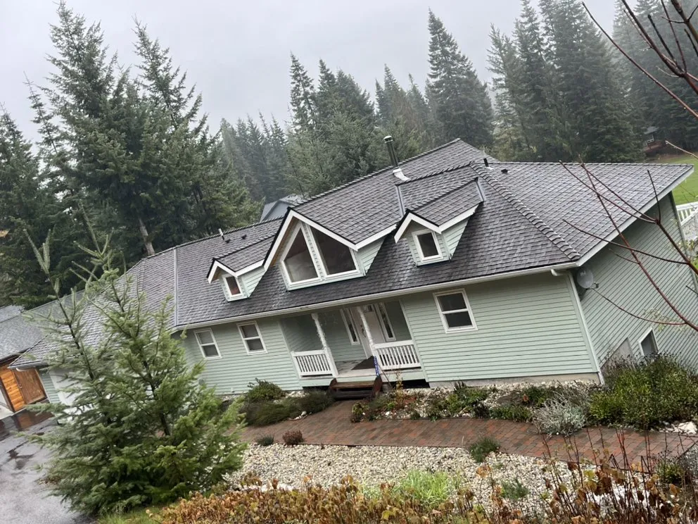 Slide of Dino Roofing