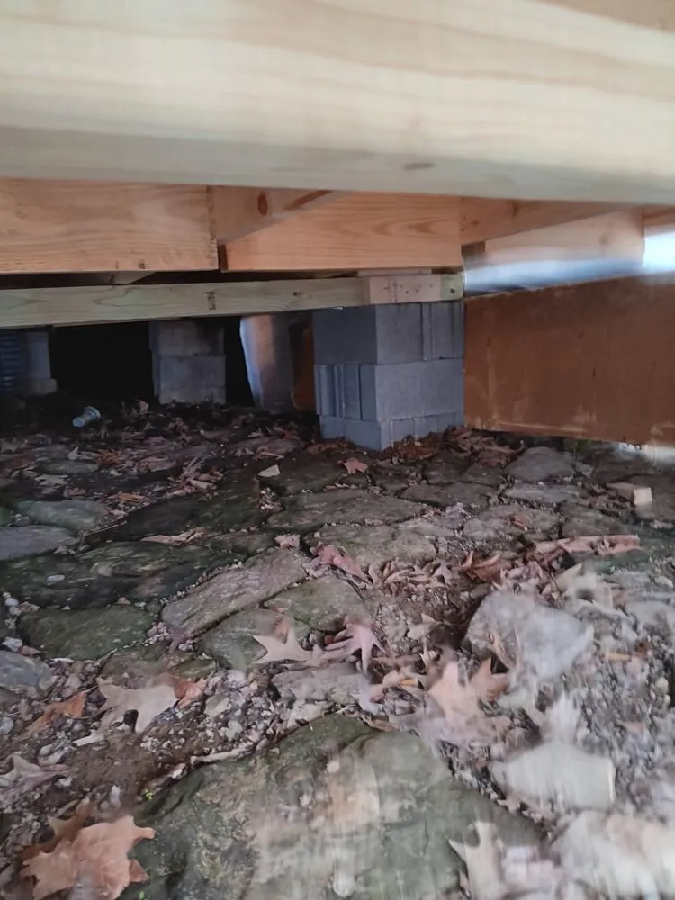 Slide of Dino's Home Repair