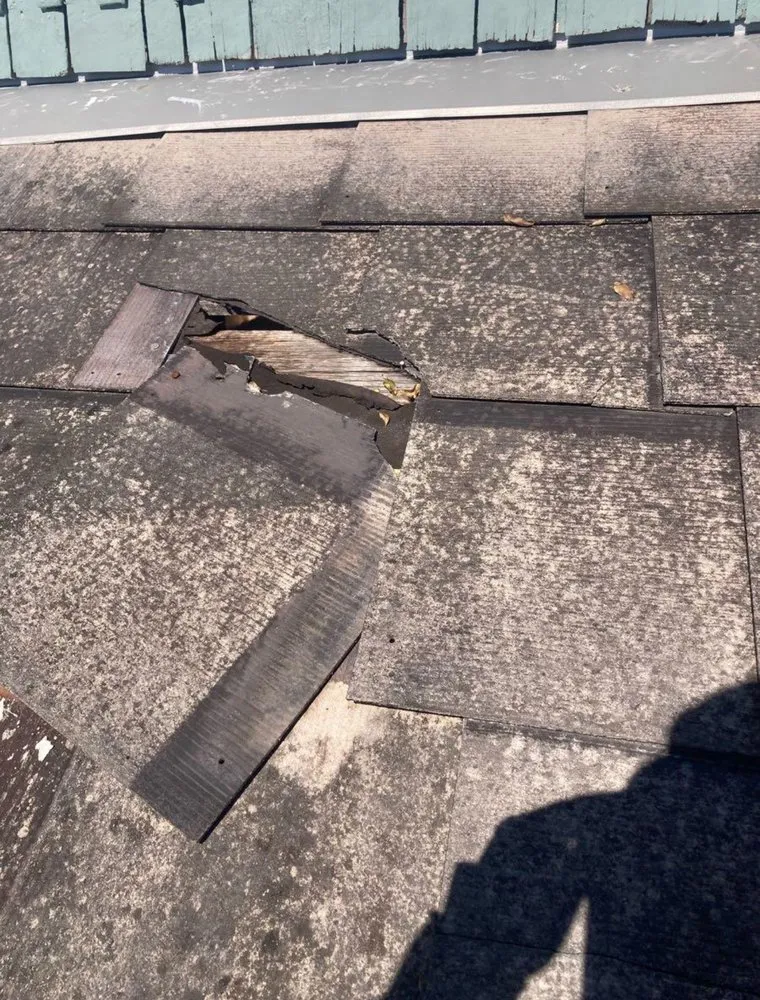 Slide of DiPretore Roofing