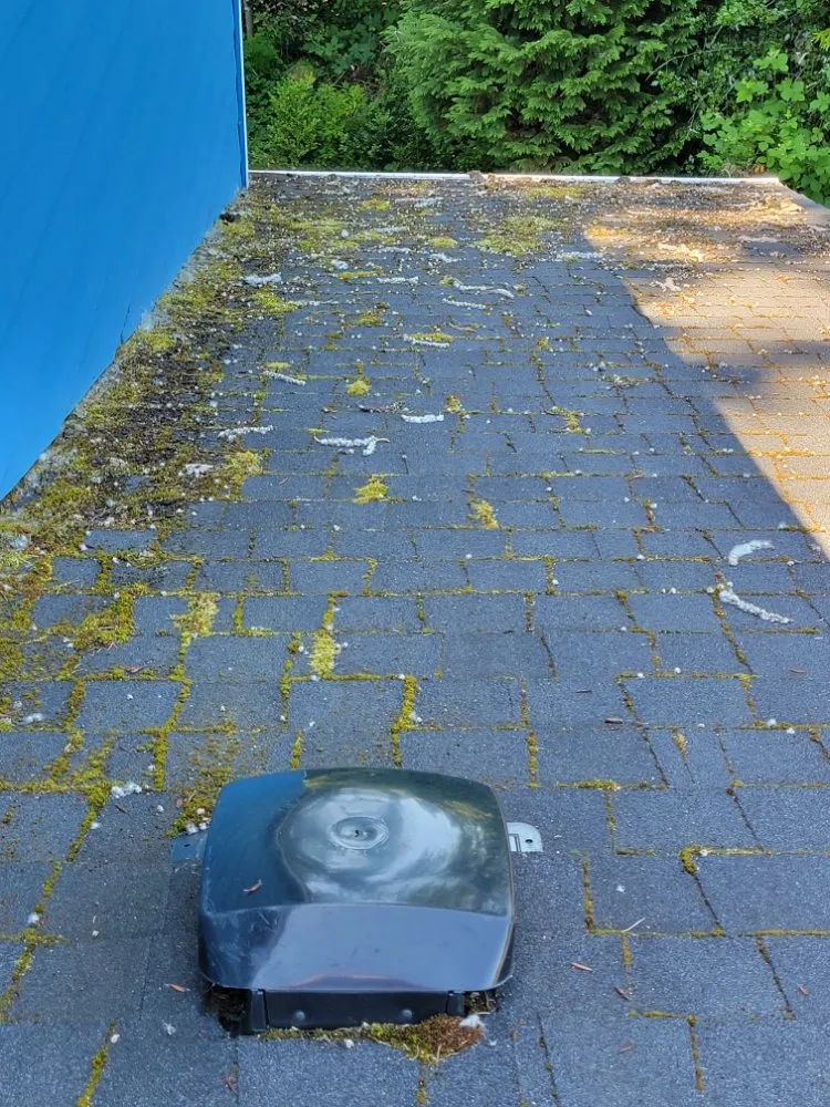 Slide of Dirty Girls Cleaning Services