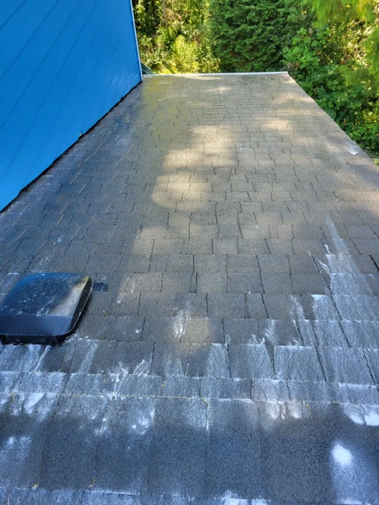 Slide of Dirty Girls Cleaning Services