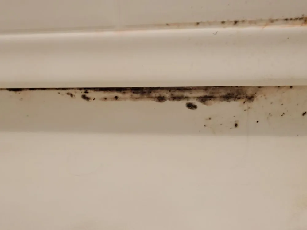 Slide of Dirty Girls Cleaning Services