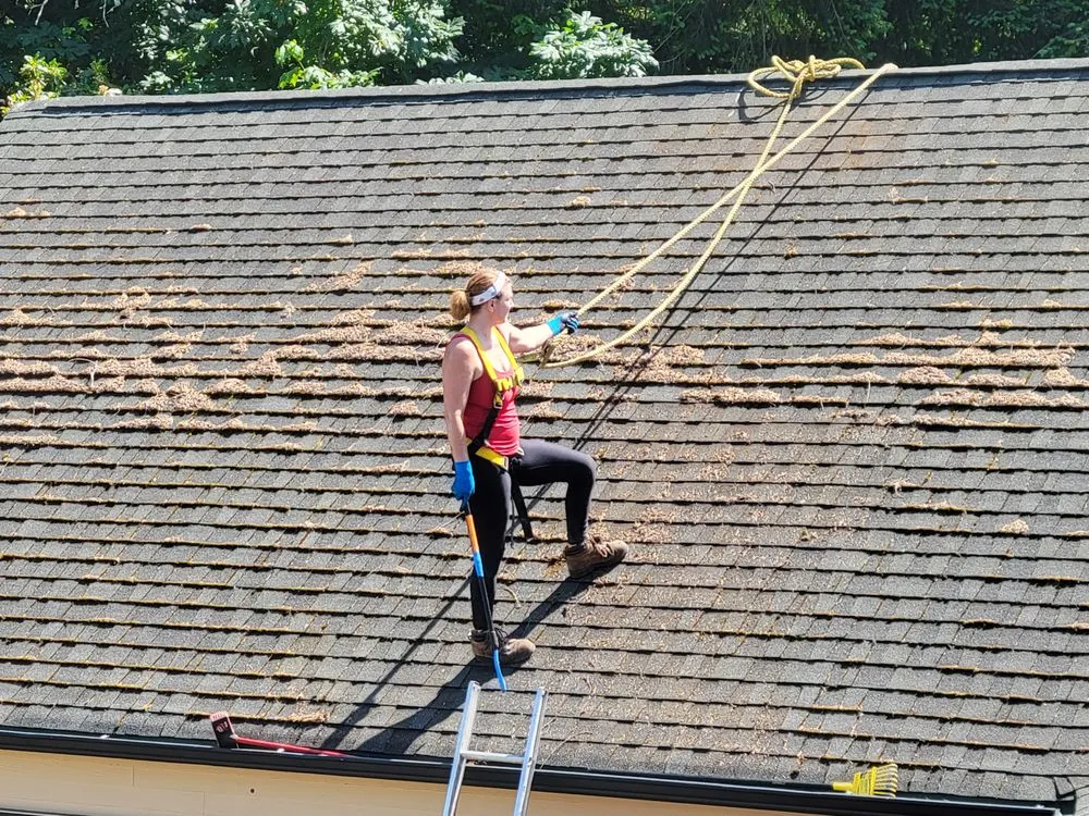 Slide of Dirty Girls Cleaning Services