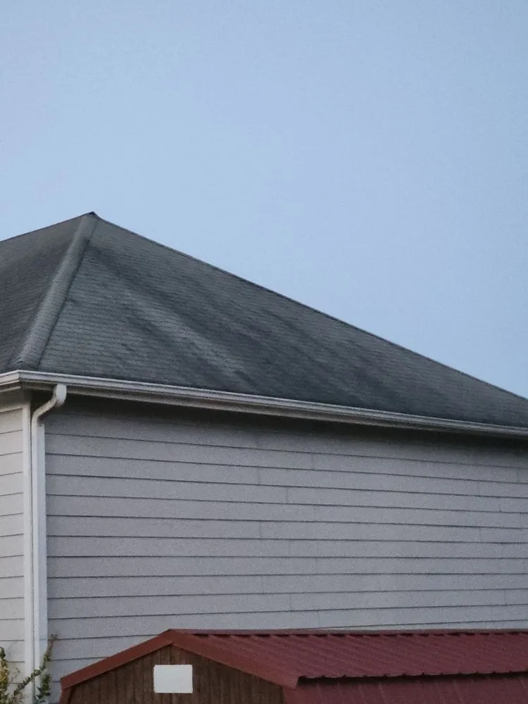 Slide of Dirtydogs Property Solution