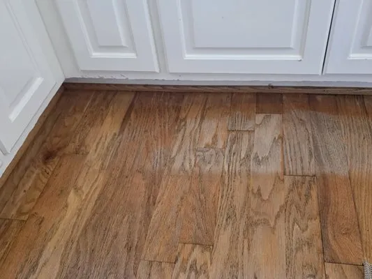 Dirtydogs Property Solution Logo