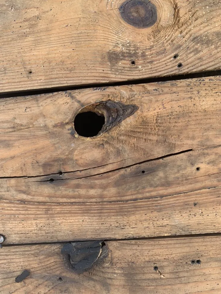 Slide of District Home Pro