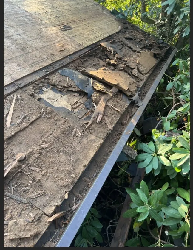 Slide of Divergent Pro Team