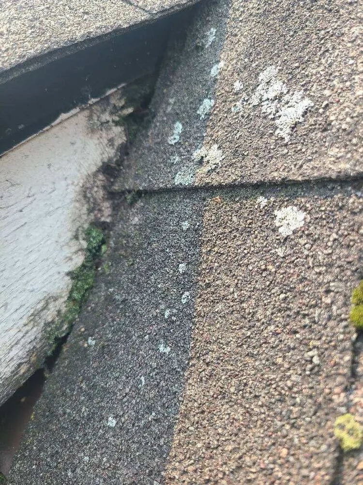 Slide of Diversified Roofing