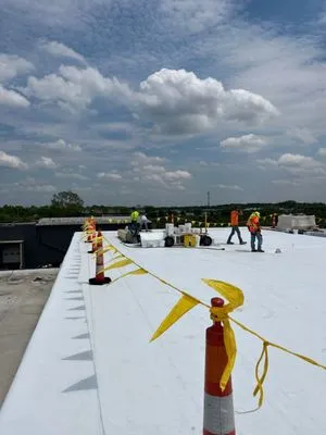 Diversified Services