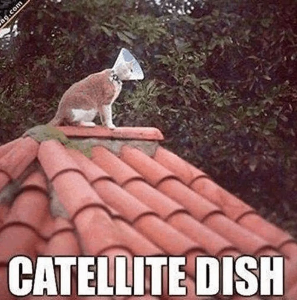 Slide of Divinity Roofing