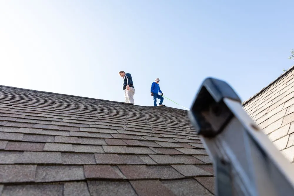 Slide of Division Kanga Roof
