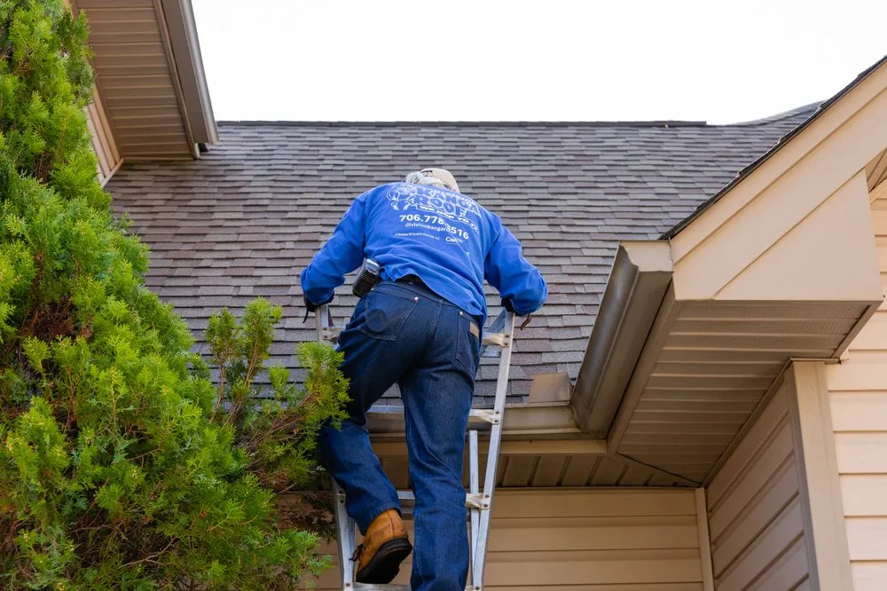 Slide of Division Kanga Roof