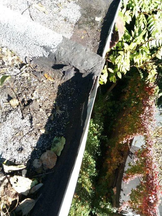 Slide of Dj Expert Roofing