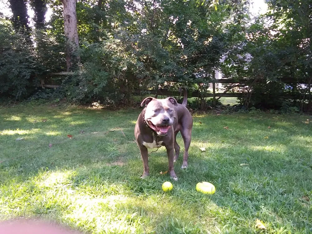 Slide of DJL Handyman Services