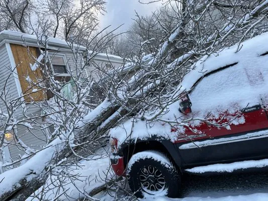 DJRF Construction Logo