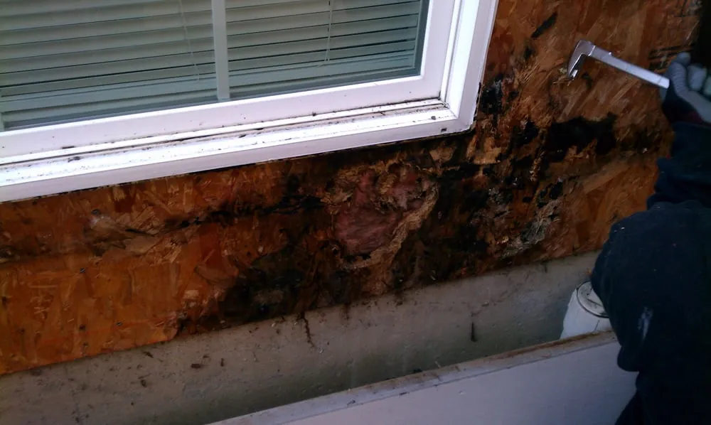 Slide of dK Exteriors