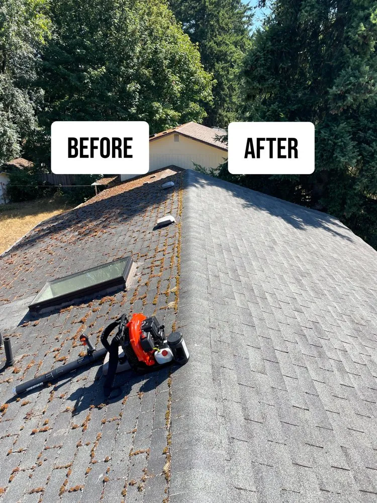Slide of DK Roof & Gutter Cleaning