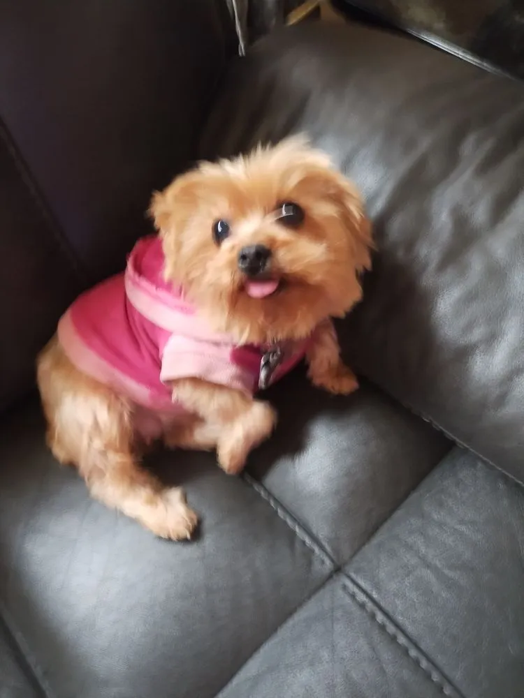 Slide of D&K Roofing