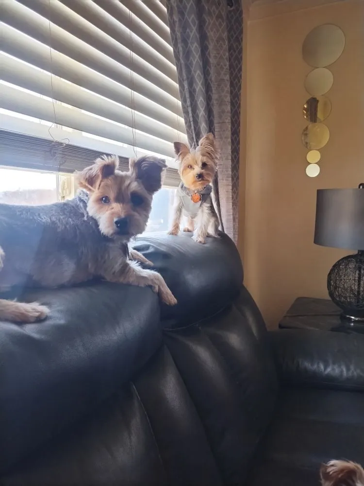 Slide of D&K Roofing