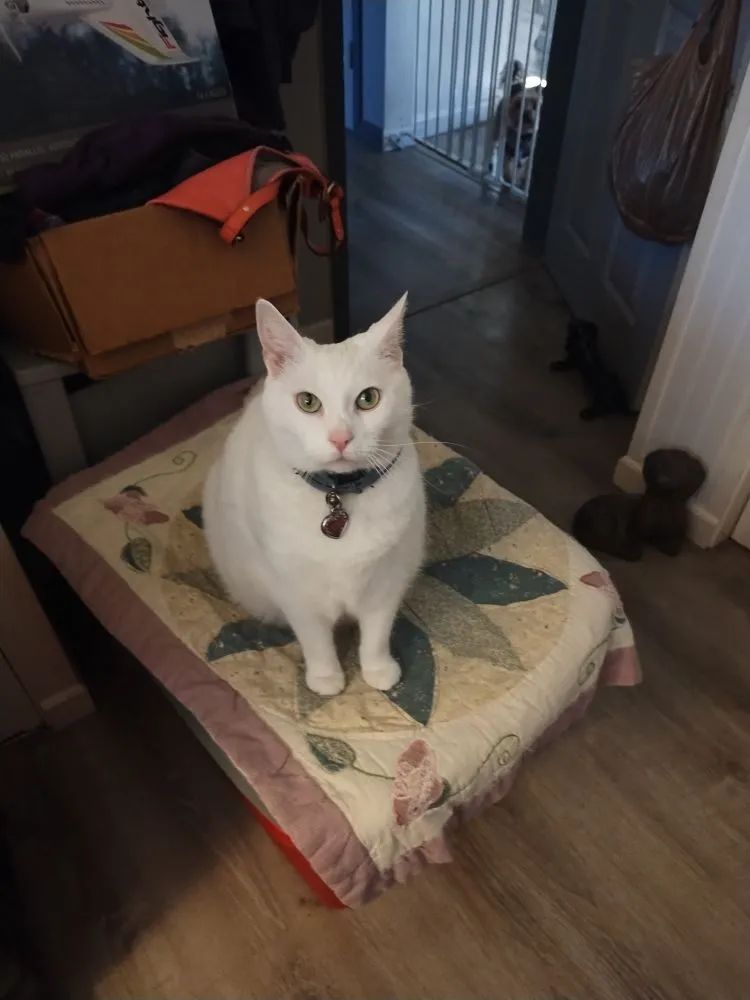 Slide of D&K Roofing