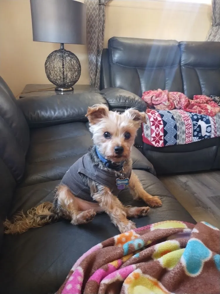 Slide of D&K Roofing