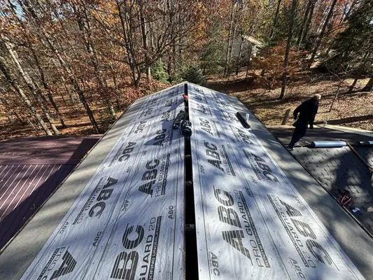 DKR Martin & Sons Roofing