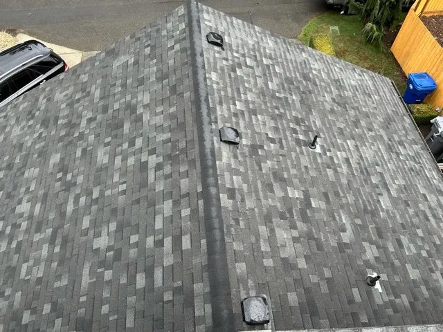 Slide of DLG Roofing