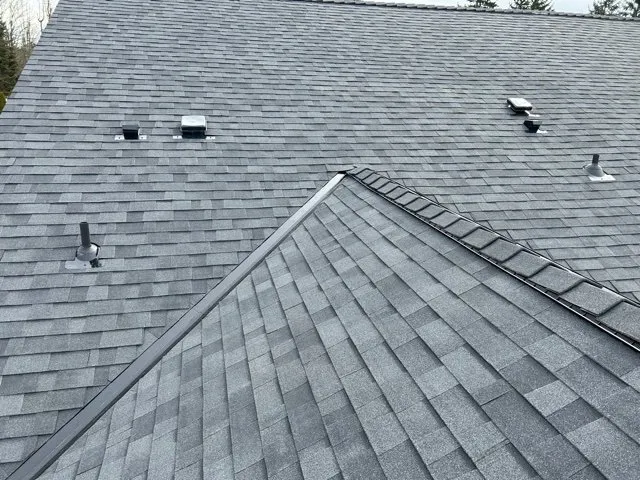 Slide of DLG Roofing