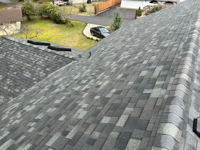 Slide of DLG Roofing