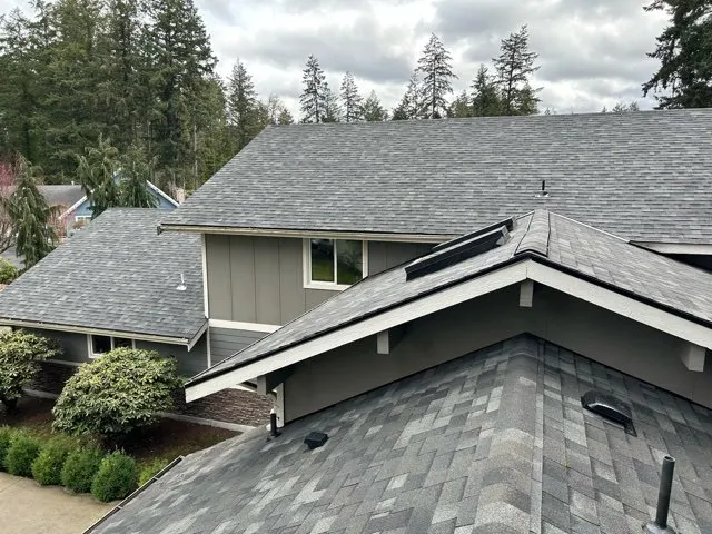 Slide of DLG Roofing