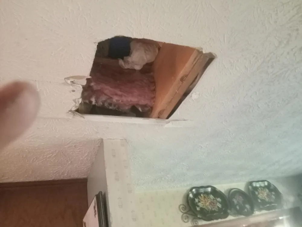 Slide of Dlo's Home Improvement